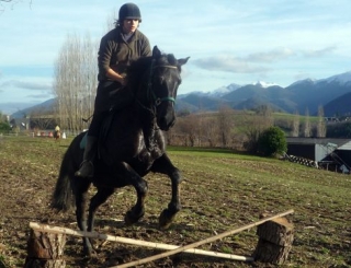 Equitation initiation et perfectionnement Sainte Colome